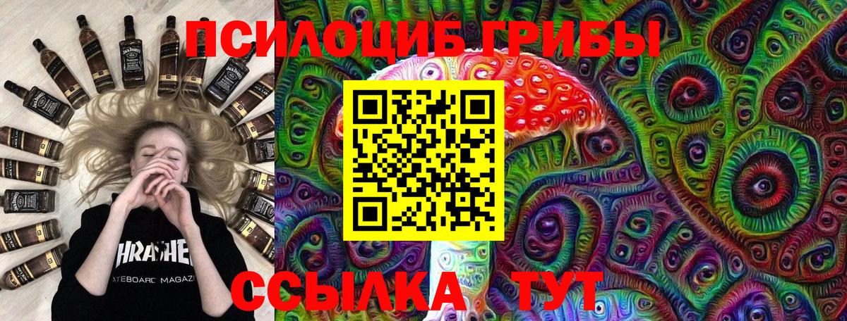 Галлюциногенные грибы GOLDEN TEACHER  Вход с VPN  где найти   Камышин 