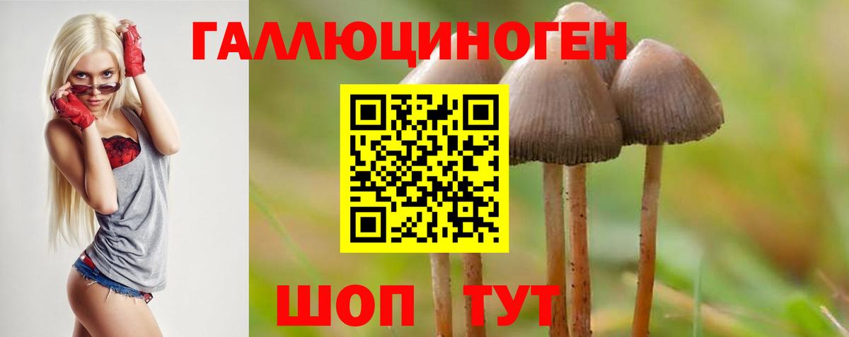 Галлюциногенные грибы Cubensis Камышин