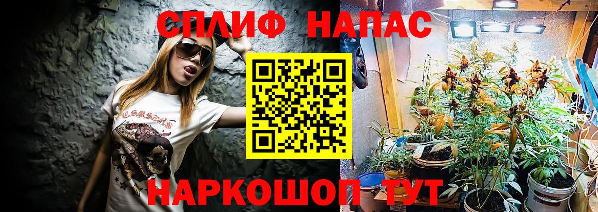 Конопля AK-47  Канабис SATIVA & INDICA  Камышин  Бошки Шишки AK-47  Вход с VPN 